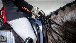 World Class Programme: Para Dressage